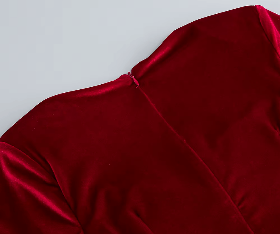 Posh Velvet Dress