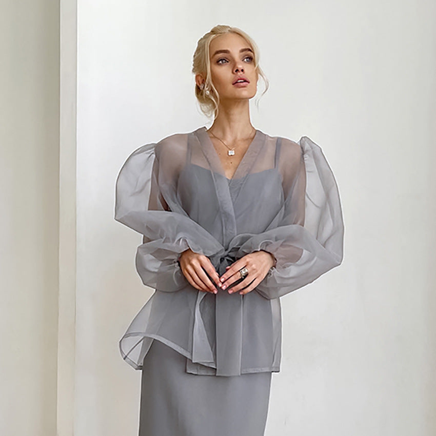 Gauzy See Through Puff Sleeve Top